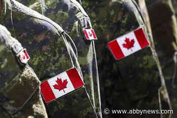 Ombudsman calls for national consultations, plan for supporting veterans