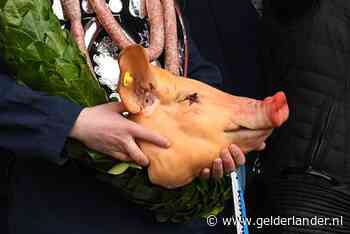 Wat doet de Koning van de Metworst eigenlijk met die halve varkenskop? ‘De wangetjes zijn het lekkerst’