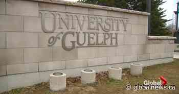 University of Guelph admits ‘toxic environment’ was fostered within athletics program