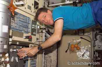 Researchers Analyze Nasty Species of Bacteria That Has Colonized Space Station’s Water Dispenser