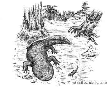 Palaeontologists Identify New Prehistoric Amphibian: A Salamander Named Egoria