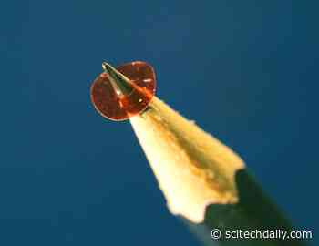 Tiny Micromotor Is Powered Directly With Light