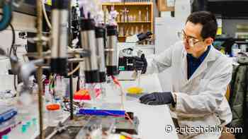 New Species of Bacteria That Fights Climate Change Discovered by Cornell Scientists