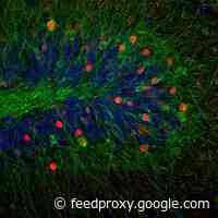 How Pianist Igor Levit Hacked The Attention Economy And Made Himself Into A ‘Thought Leader’