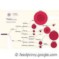 A Family History Chart Of The World’s 100 Most Widely Spoken Languages