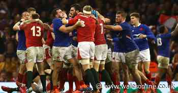 'I'm upset, alright!' What happened at the end of Wales v France as match ends in chaos