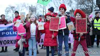 Doctors and grandparents join hundreds at Extinction Rebellion rally