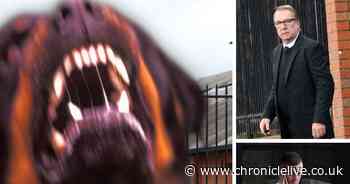 The dangerous dog owners who have appeared in court after failing to control their pets