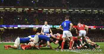 Wales upset over decisive French scrum penalty and claim officials got huge decision wrong
