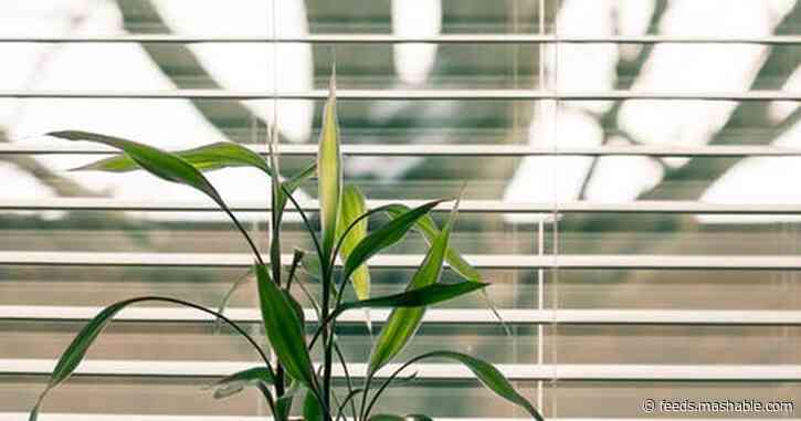 We can finally open and close our blinds, shades, and curtains with our phones