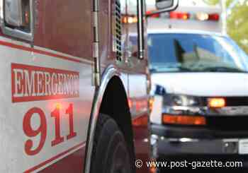 Two men rescued from icy lake in Northmoreland Park in Westmoreland County