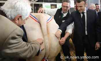 Macron astonished as French farmer praises his stance in Brussels