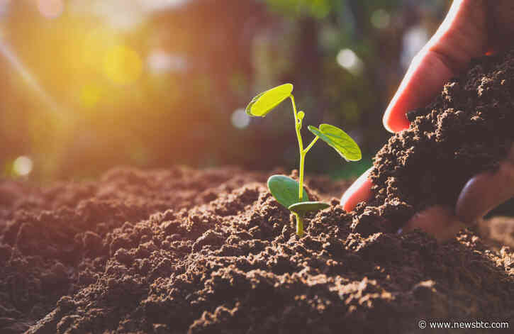 Crypto Tidbits: Bitcoin Plunges to $9,500, $45m BCH SIM Swap, IRS Focused on Cryptocurrency