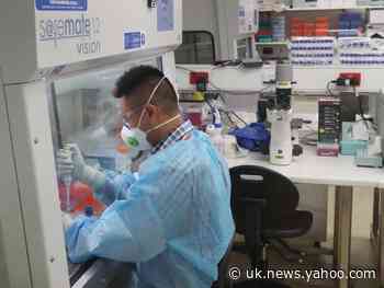 Coronavirus: Scientists ‘pass first hurdle’ towards creating vaccine