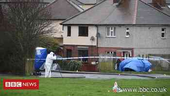 Brierley Hill stabbing: Two more arrests over cannabis robbery deaths