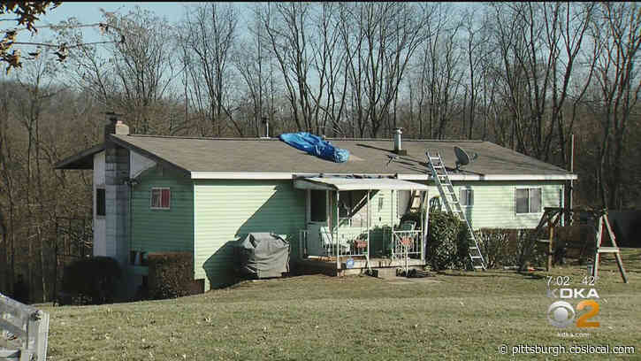 Seven Animals Killed In New Kensington House Fire
