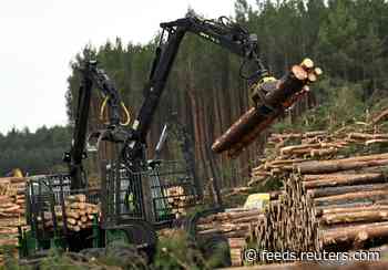 Tesla resumes tree cutting in Germany to build Gigafactory