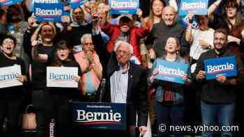 Nevada caucuses: Bernie Sanders rolls to victory