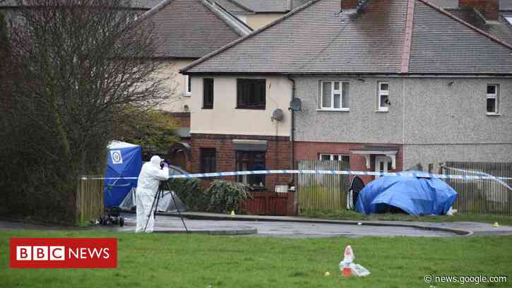 Brierley Hill stabbing: Two more arrests over cannabis robbery deaths - BBC News