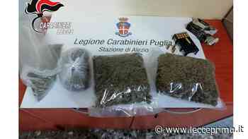 Tra i rovi 820 grammi di “erba” e proiettili. In provincia anche un arresto e una denuncia - LeccePrima