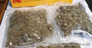 Police intercept £5,200 worth of cannabis sent to North Tyneside from United States