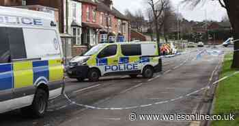 Pair arrested at Holyhead Port following alleged murder of kickboxing star at cannabis factory