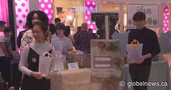 Teen turned entrepreneur: Alberta students create innovative eco-friendly products - Global News