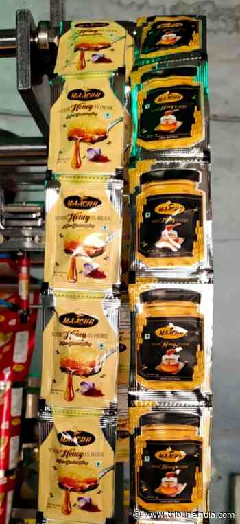 Entrepreneur makes honey affordable, introduces sachets - The Tribune India