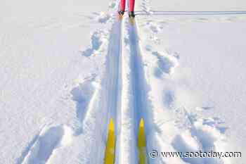 Nordic ski championship set for Sault Ste. Marie - SooToday.com