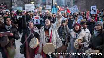 Wet'suwet'en Nation solidarity rally held in Sault Ste. Marie - CTV News