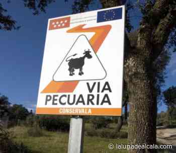 Ecologistas en Acción Alcalá denuncia que las vías pecuarias madrileñas se asfixian - Noticias de Alcalá de Henares e información multimedia 24 horas al día - La Luna de Alcalá