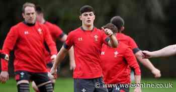 The three positions causing Wales most concern as teen try ace Louis Rees-Zammit comes into the mix for dramatic debut against England