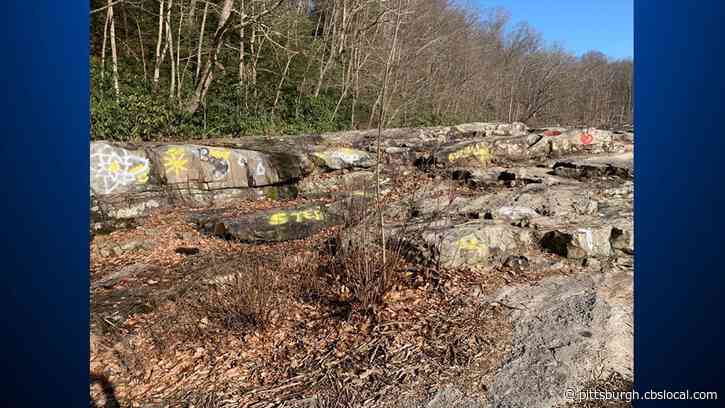 Ohiopyle State Park Vandalized Over The Weekend