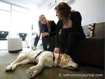 Alberta overhauls funding system for child advocacy centres - Edmonton Journal