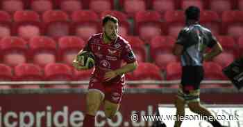 Scarlets 36-17 Southern Kings: Region keep up Guinness PRO14 play-off chase with bonus point victory