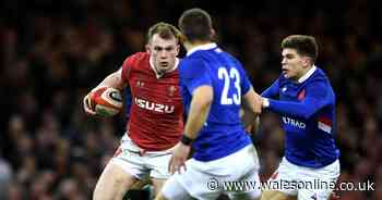 The under-fire Wales rookie who's just proved his critics wrong