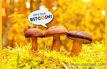 Decentralization Philosophy – Does Crypto Still Need Catalysts?