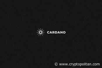 Cardano ADA price shaking: Is a high coming? - Cryptopolitan