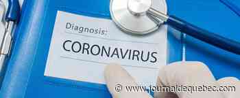 Coronavirus sur un vol canadien: «Il y a potentiellement d’autres cas», dit un microbiologiste