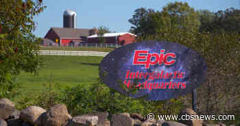 Epic: How a company you never heard of handles your medical records - CBS News