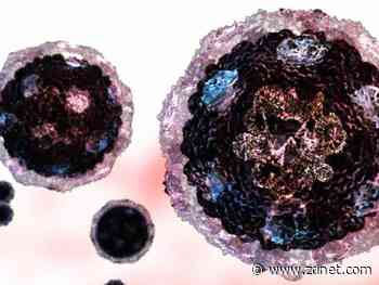 Coronavirus to test supply chain analytics, business demand visibility