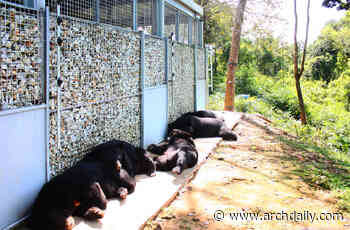 12 Times Architecture Sheltered Animals, Not Humans - ArchDaily