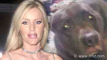 'Beverly Hills Cop' Actress Giving Pit Bull New Home After Mauling