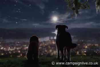 Disney gears up for streaming service launch with discount