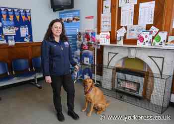 Tower Vets' Fulford practice expands after £130,000 investment