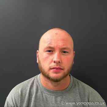 Masked raiders who were caught hiding - two up a tree - are jailed