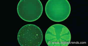 Researchers use artificial intelligence to develop powerful new antibiotic