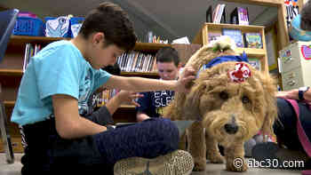 Long Island nonprofit Bideawee helps kids gain confidence by reading to dogs