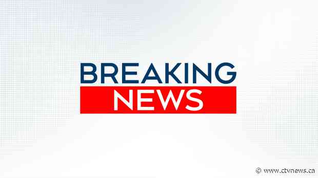 Car hits crowd at German carnival, several injured