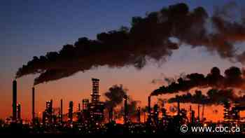 Alberta Court of Appeal to rule on whether federal carbon tax should stand